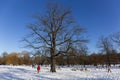 The largest Park in Prague Ã¢â¬â Stromovka - the Royal Tree-tree in the snowy Winter